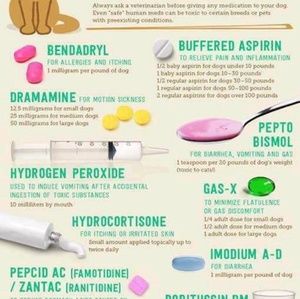 Meet your Posher, Dominique